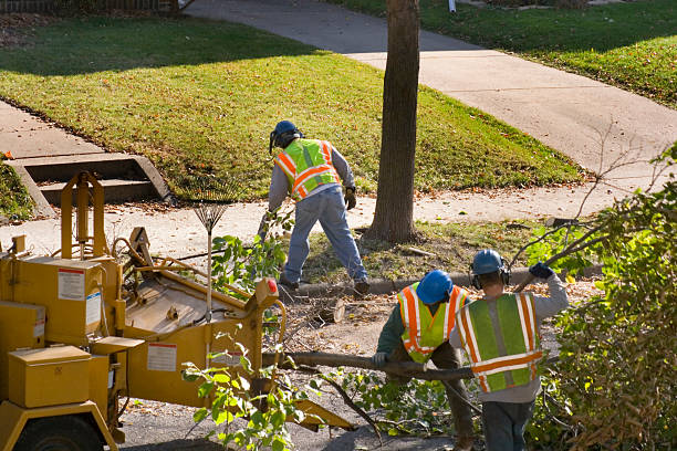 Landscape Design and Installation in Gaylord, MN